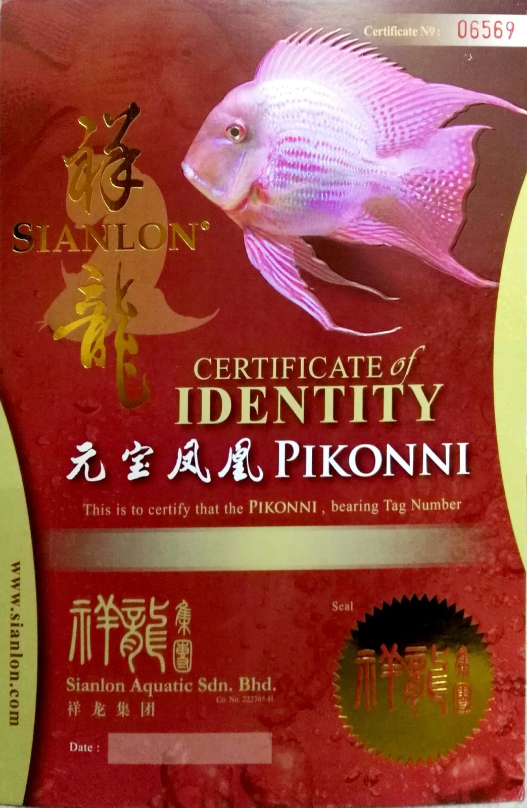 Victoria CERTIFICATE of DENTITY  PIKONNI